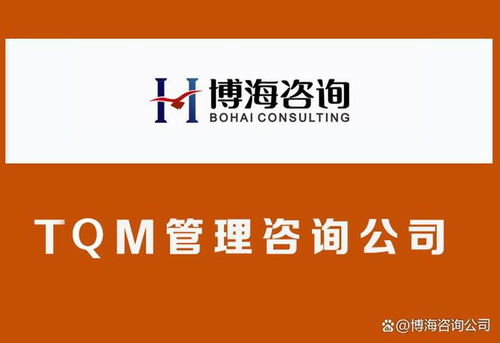 tqm质量管理咨询公司 质量管理体系建设 提高客户满意度